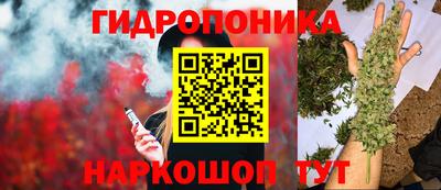 трава Партизанск