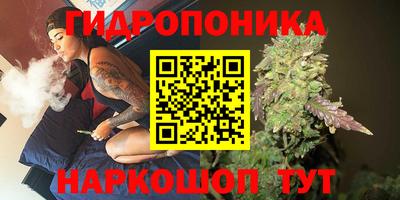трава Партизанск