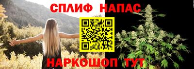 трава Партизанск
