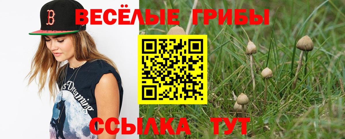 A PVP Менделеевск